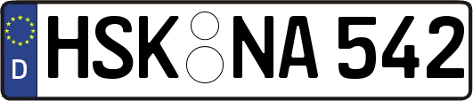 HSK-NA542