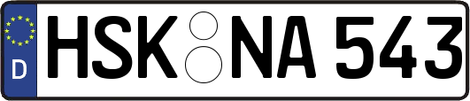 HSK-NA543