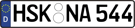 HSK-NA544