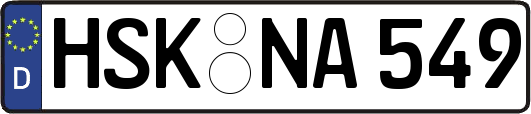 HSK-NA549