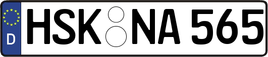 HSK-NA565