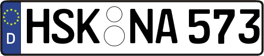 HSK-NA573