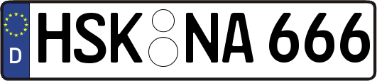HSK-NA666