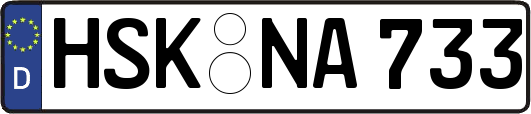 HSK-NA733