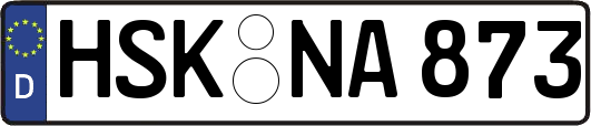 HSK-NA873