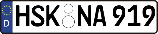 HSK-NA919