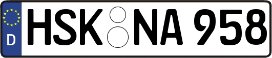 HSK-NA958
