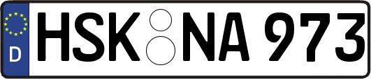HSK-NA973