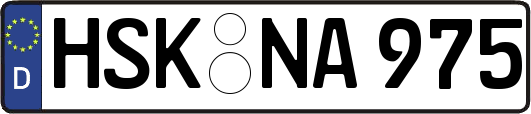 HSK-NA975