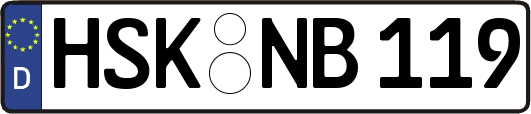 HSK-NB119