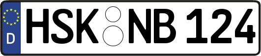 HSK-NB124