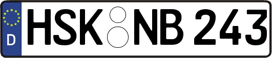 HSK-NB243