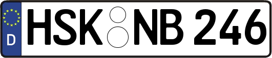 HSK-NB246