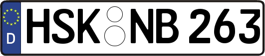 HSK-NB263