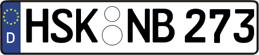 HSK-NB273