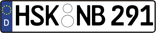 HSK-NB291