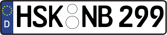 HSK-NB299