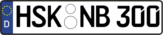 HSK-NB300