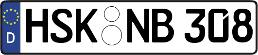 HSK-NB308