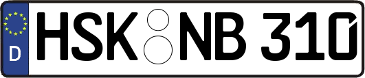 HSK-NB310