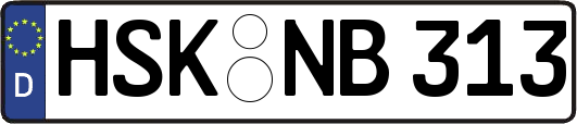 HSK-NB313