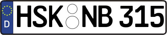 HSK-NB315