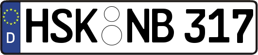 HSK-NB317