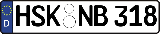 HSK-NB318