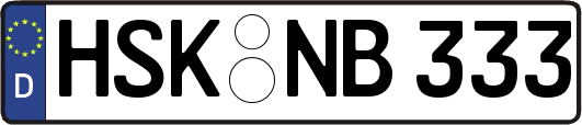 HSK-NB333