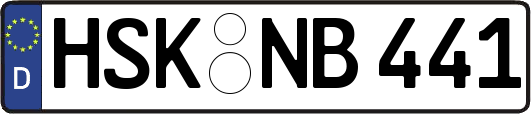 HSK-NB441