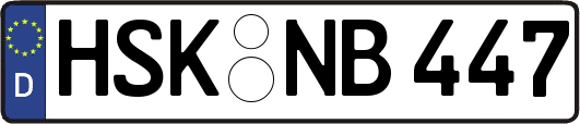 HSK-NB447