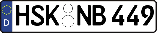 HSK-NB449