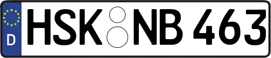 HSK-NB463