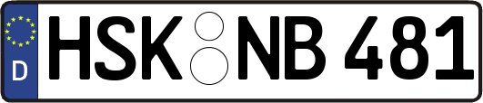 HSK-NB481
