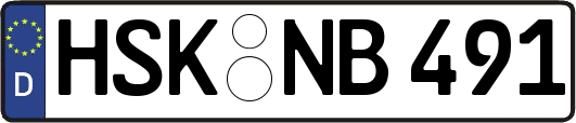 HSK-NB491