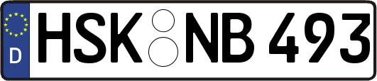 HSK-NB493