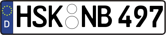 HSK-NB497