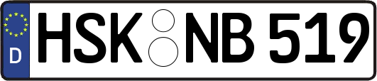 HSK-NB519