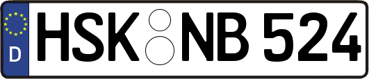HSK-NB524
