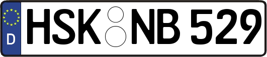 HSK-NB529