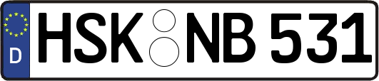 HSK-NB531