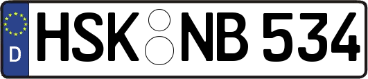 HSK-NB534