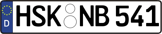 HSK-NB541