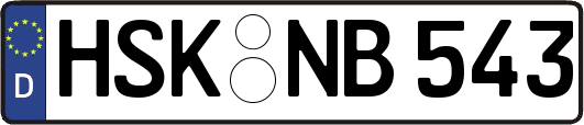 HSK-NB543