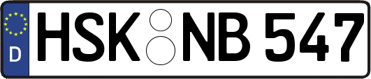 HSK-NB547