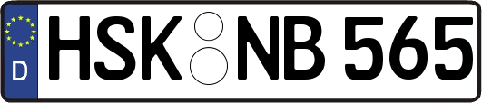 HSK-NB565