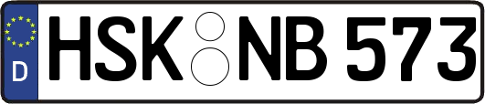 HSK-NB573