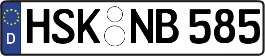 HSK-NB585