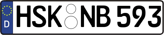 HSK-NB593