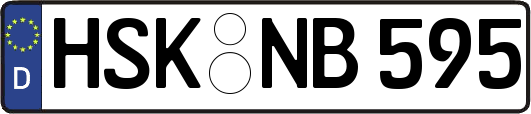 HSK-NB595